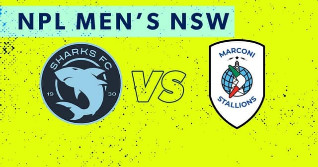 Sutherland Sharks - Marconi Stallions