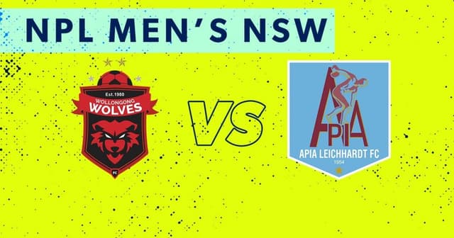 Wollongong Wolves - APIA Tigers