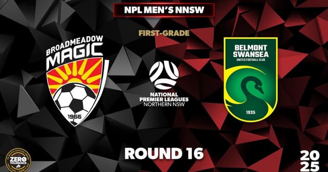 Broadmeadow Magic - Belmont Swansea
