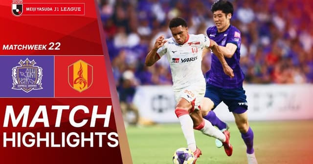 Sanfrecce Hiroshima - Nagoya Grampus Eight