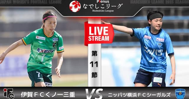 Iga Kunoichi W - Yokohama Seagulls W