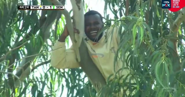 Tanzania - Senegal